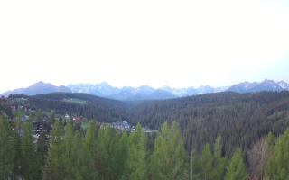 Bukovina - Panorama - 03-05-2025 03:07
