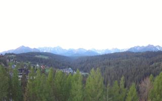 Bukovina - Panorama - 03-05-2025 03:14