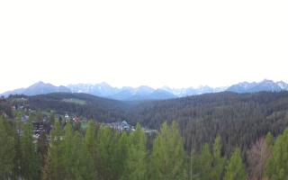 Bukovina - Panorama - 03-05-2025 03:21