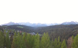 Bukovina - Panorama - 03-05-2025 03:29