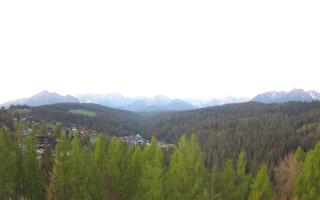 Bukovina - Panorama - 03-05-2025 03:43