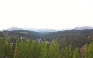 Bukovina - Panorama - 03-05-2025 03:50
