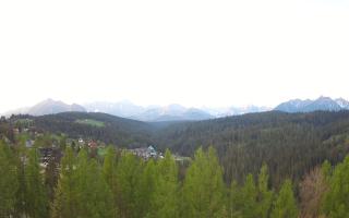 Bukovina - Panorama - 03-05-2025 04:04