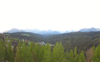 Bukovina - Panorama - 03-05-2025 04:11