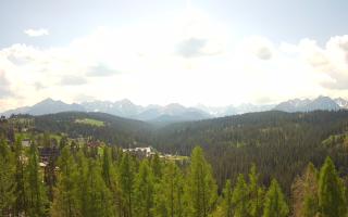 Bukovina - Panorama - 03-05-2025 09:56