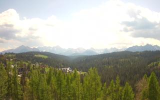 Bukovina - Panorama - 03-05-2025 10:52