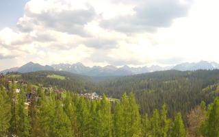 Bukovina - Panorama - 03-05-2025 12:16