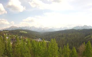 Bukovina - Panorama - 03-05-2025 13:27