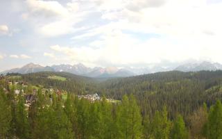 Bukovina - Panorama - 03-05-2025 13:48