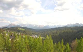 Bukovina - Panorama - 03-05-2025 14:09