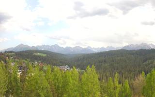 Bukovina - Panorama - 03-05-2025 14:51