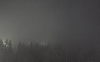 Bukovina - Panorama - 17-06-2025 01:25