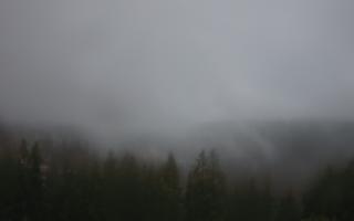 Bukovina - Panorama - 17-06-2025 02:28