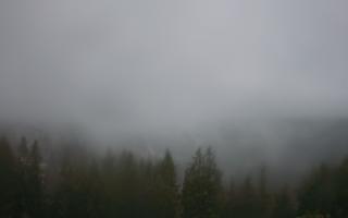 Bukovina - Panorama - 17-06-2025 02:35