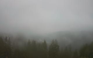 Bukovina - Panorama - 17-06-2025 02:42