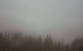 Bukovina - Panorama - 17-06-2025 02:49