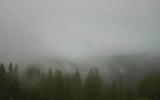Bukovina - Panorama - 17-06-2025 02:56