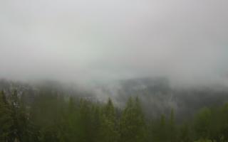Bukovina - Panorama - 17-06-2025 03:03