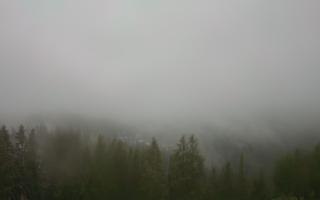 Bukovina - Panorama - 17-06-2025 03:10