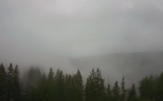 Bukovina - Panorama - 17-06-2025 03:24