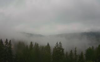 Bukovina - Panorama - 17-06-2025 03:32