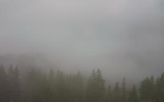 Bukovina - Panorama - 17-06-2025 03:46