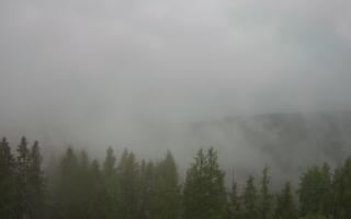 Bukovina - Panorama - 17-06-2025 04:00