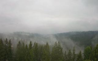 Bukovina - Panorama - 17-06-2025 04:07