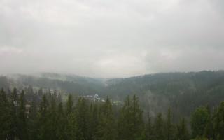 Bukovina - Panorama - 17-06-2025 04:21