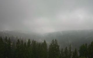 Bukovina - Panorama - 17-06-2025 04:56