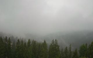 Bukovina - Panorama - 17-06-2025 05:10