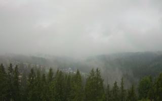 Bukovina - Panorama - 17-06-2025 05:45