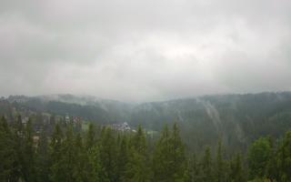 Bukovina - Panorama - 17-06-2025 06:06
