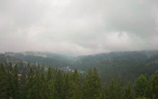 Bukovina - Panorama - 17-06-2025 06:13