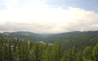 Bukovina - Panorama - 17-06-2025 08:41