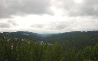 Bukovina - Panorama - 17-06-2025 09:09