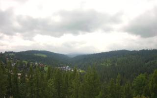 Bukovina - Panorama - 17-06-2025 09:16