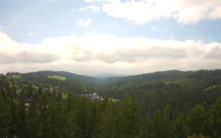 Bukovina - Panorama - 17-06-2025 09:30