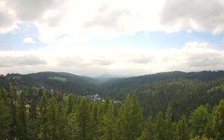 Bukovina - Panorama - 17-06-2025 09:37