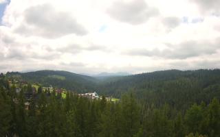 Bukovina - Panorama - 17-06-2025 09:59