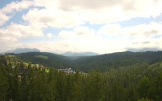 Bukovina - Panorama - 17-06-2025 11:51