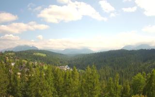 Bukovina - Panorama - 17-06-2025 13:02