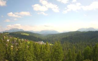 Bukovina - Panorama - 17-06-2025 13:16