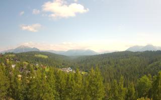 Bukovina - Panorama - 17-06-2025 13:37