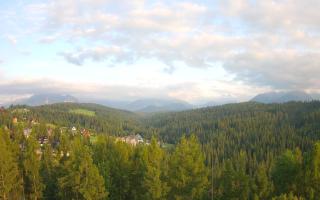 Bukovina - Panorama - 17-06-2025 17:41