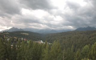 Bukovina - Panorama - 02-08-2025 02:50