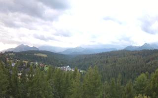 Bukovina - Panorama - 02-08-2025 03:18