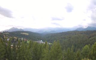 Bukovina - Panorama - 02-08-2025 03:25