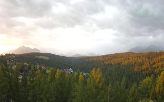 Bukovina - Panorama - 02-08-2025 03:39