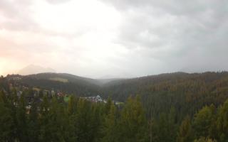 Bukovina - Panorama - 02-08-2025 03:46